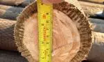 diameter