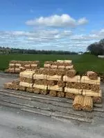 sawmill 2