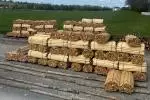 sawmill 2 cropped